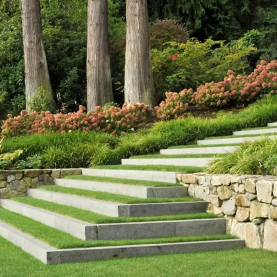 Landscaping Design project photo